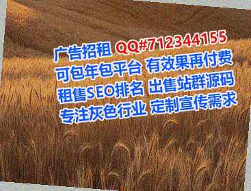 民丰助孕金融有限公司